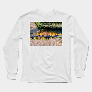 Aerial view of country road, autumn trees and ploughed field Long Sleeve T-Shirt